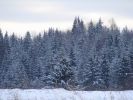 DSC05205.JPG