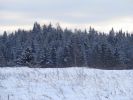 DSC05206.JPG