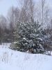 DSC05207.JPG