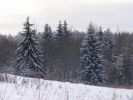 DSC05208.JPG