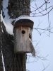DSC05209.JPG