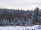 DSC05210.JPG