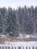 DSC05211.JPG