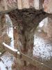 DSC05234.JPG