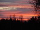 DSC05253.JPG