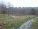 DSC06310.JPG