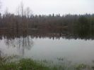 DSC06314.JPG