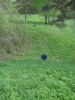 DSC06378.JPG