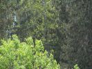 DSC06383.JPG