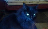 DSC07675.jpg