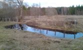 DSC07682.jpg