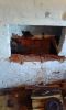 DSC07694.jpg