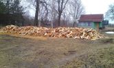 DSC07697.jpg