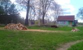 DSC07698.jpg