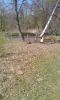 DSC07699.jpg