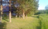 DSC07700.jpg