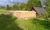 DSC07703.jpg