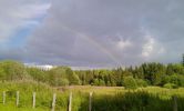 DSC07704.jpg