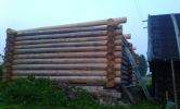 DSC07708.jpg