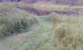 DSC07715.jpg