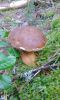 DSC07721.jpg