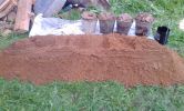 DSC07723.jpg