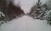 DSC07734.jpg