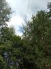 IMG_20180722_144009.jpg