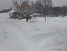 IMG-20190127-101127.jpg