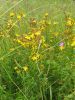 IMG-20190720-112453.jpg