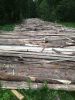 IMG-20200603-WA0001.jpg
