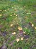 IMG-20200824-WA0001.jpg