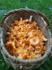IMG-20200824-WA0002.jpg
