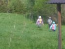 IMG_20220603_WA0003.jpg
