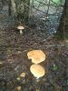 IMG_20230729_100804.jpg