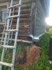 IMG_20250814_180445.jpg