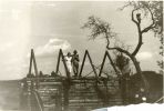 AR00024.jpg