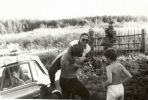 AR00044.jpg