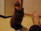 DSC00858.JPG