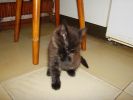 DSC00868.JPG