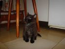 DSC00869.JPG