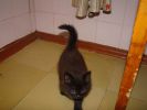 DSC00870.JPG
