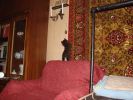 DSC00876.JPG
