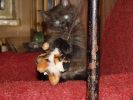 DSC00892.JPG