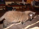 DSC00905.JPG