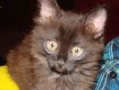 DSC01008.JPG