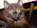 DSC01013.JPG