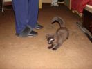 DSC01043.JPG