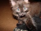 DSC01050.JPG
