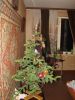 DSC01274.JPG